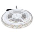 Strip LED SMD5050 11W/m 5m 60 LED/m 12V 6500K IP65 10mm