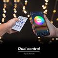 Kit Strip LED RGB 24v 13W/m con Telecomando e Alimentatore IP65