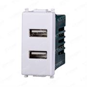 Presa Doppia USB 2.1A Compatibile con Vimar® Plana