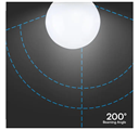 Lampadina LED E27 22W G120 Luce Fredda 6500K