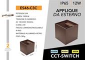 Applique a Muro da Esterno Doppia Emissione LED 12W Luce 3in1
