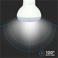 Lampadina LED E14 4.8W R50 Luce Fredda 6500K