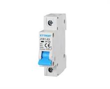 Interruttore magnetotermico 1P 6A 220V 6Ka 1 Modulo DIN