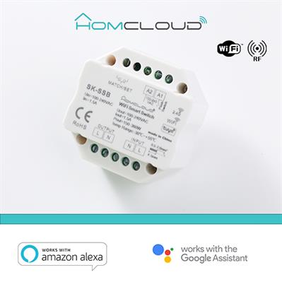 Modulo Smart Pulsante 220V Ac 1Chx1.5A Wi-Fi+Rf 2.4G