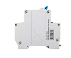 Interruttore Magnetotermico 1P+N 6A 4.5Ka 220V 1 Modulo DIN